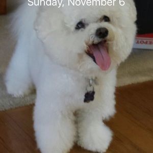 Meet your Posher, Kay